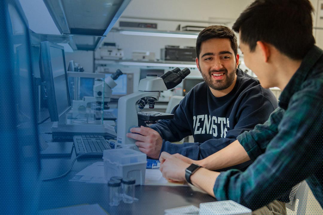 test Shevy Karbasi and Matthew Chen, cofounders of Moichor, work together in the lab.